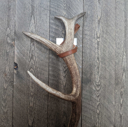 Shed Strap Basic